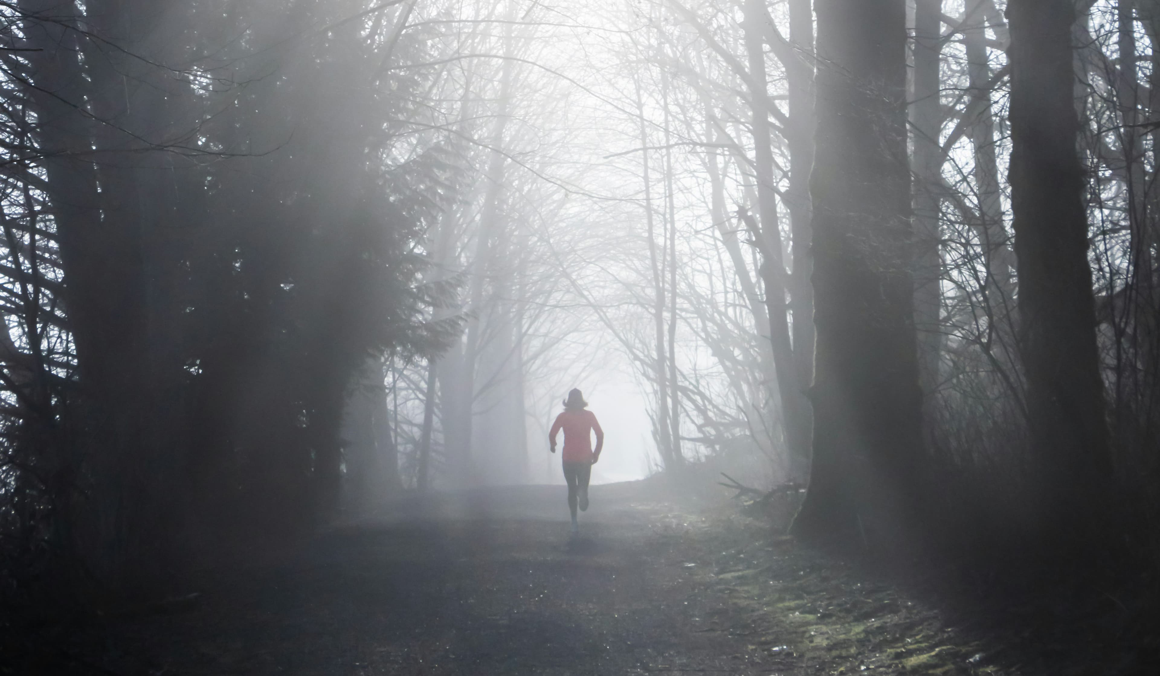 Person walking down a trail in the woods
